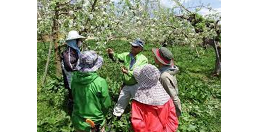 大江町就農研修生受入協議会（山形県）