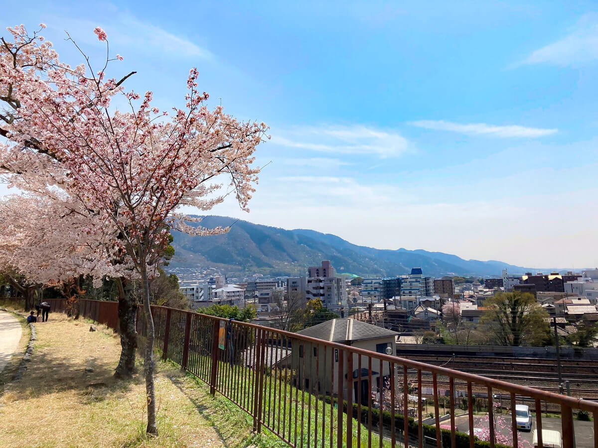 移住に踏み出す前に、現地の暮らしを体感してみては