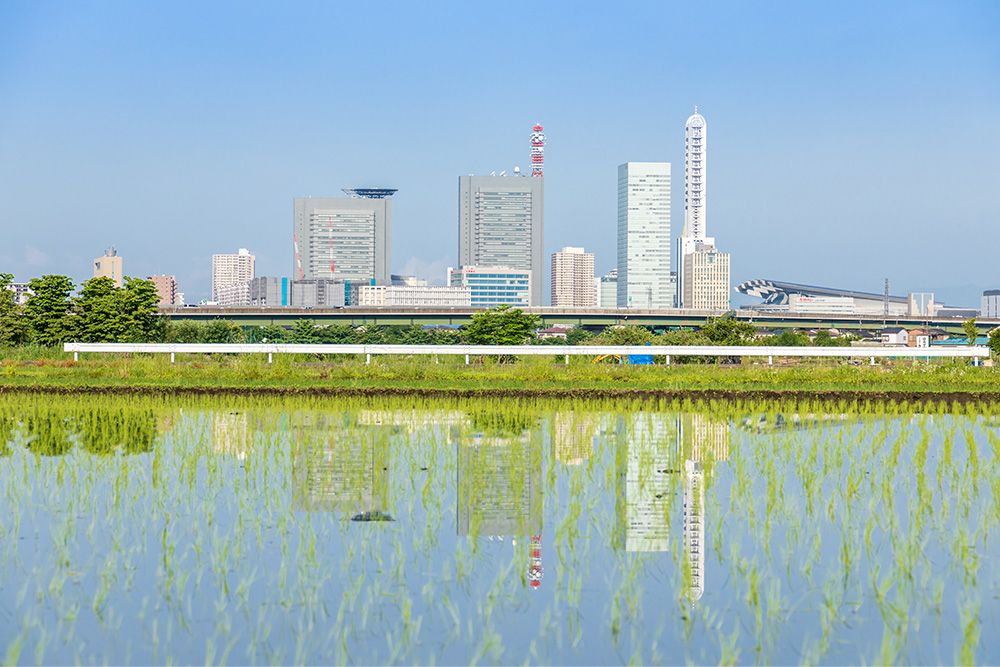 やさしく解説！地方拠点強化税制について