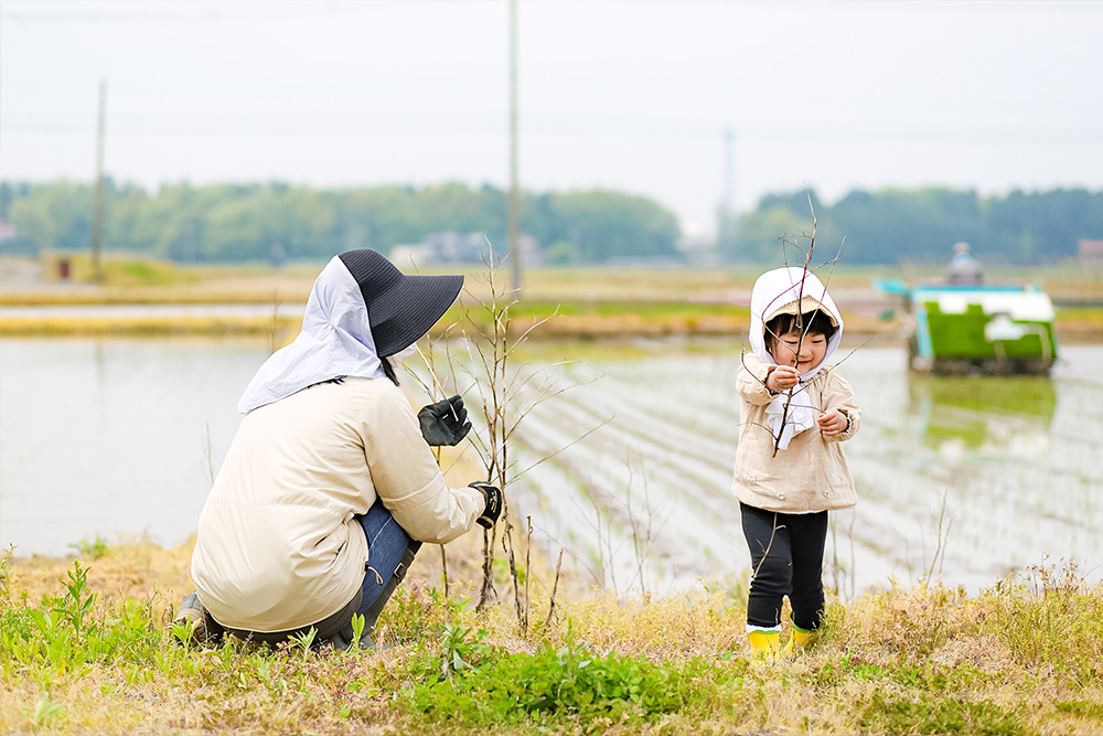 田植えを手伝う子ども