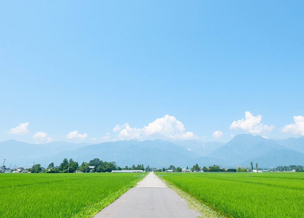 地方創生10年 移住への関心は全年代で増加、特色ある取り組みへの支援強化へ