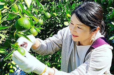 気候も人情もあたたかい地域に魅せられて 小澤 祥子さん