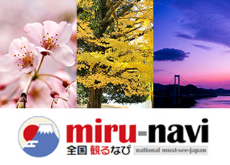 miru-navi 全国観るなび