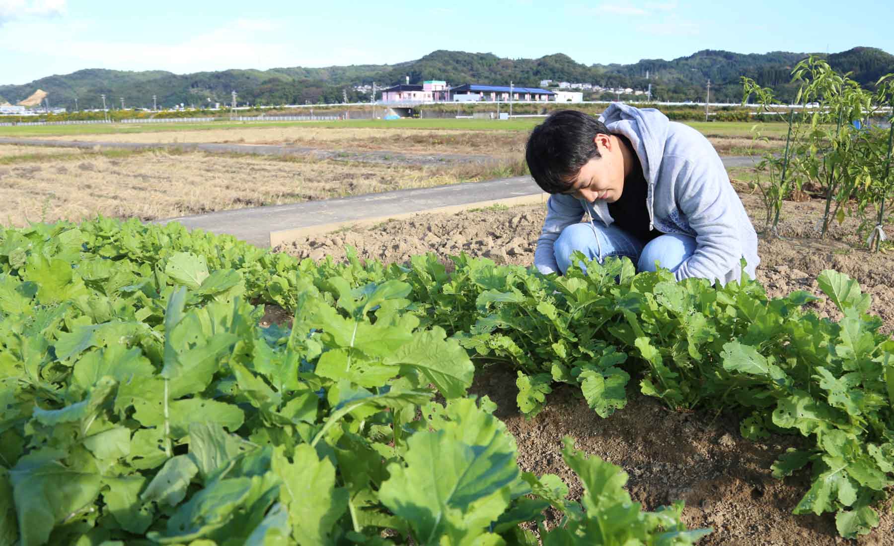 農作業中の吉川さん