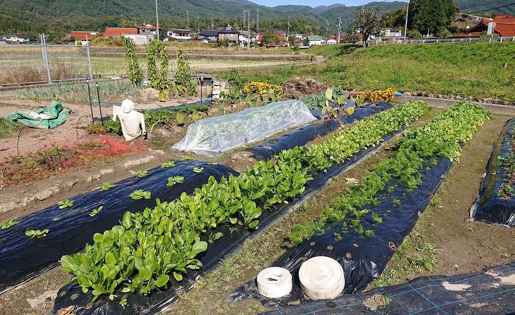 2拠点暮らしで仕事も子育ても両立 いいかも地方暮らし はじめての移住応援サイト 2拠点暮らしで仕事も子育ても両立 いいかも地方暮らし はじめての移住応援サイト
