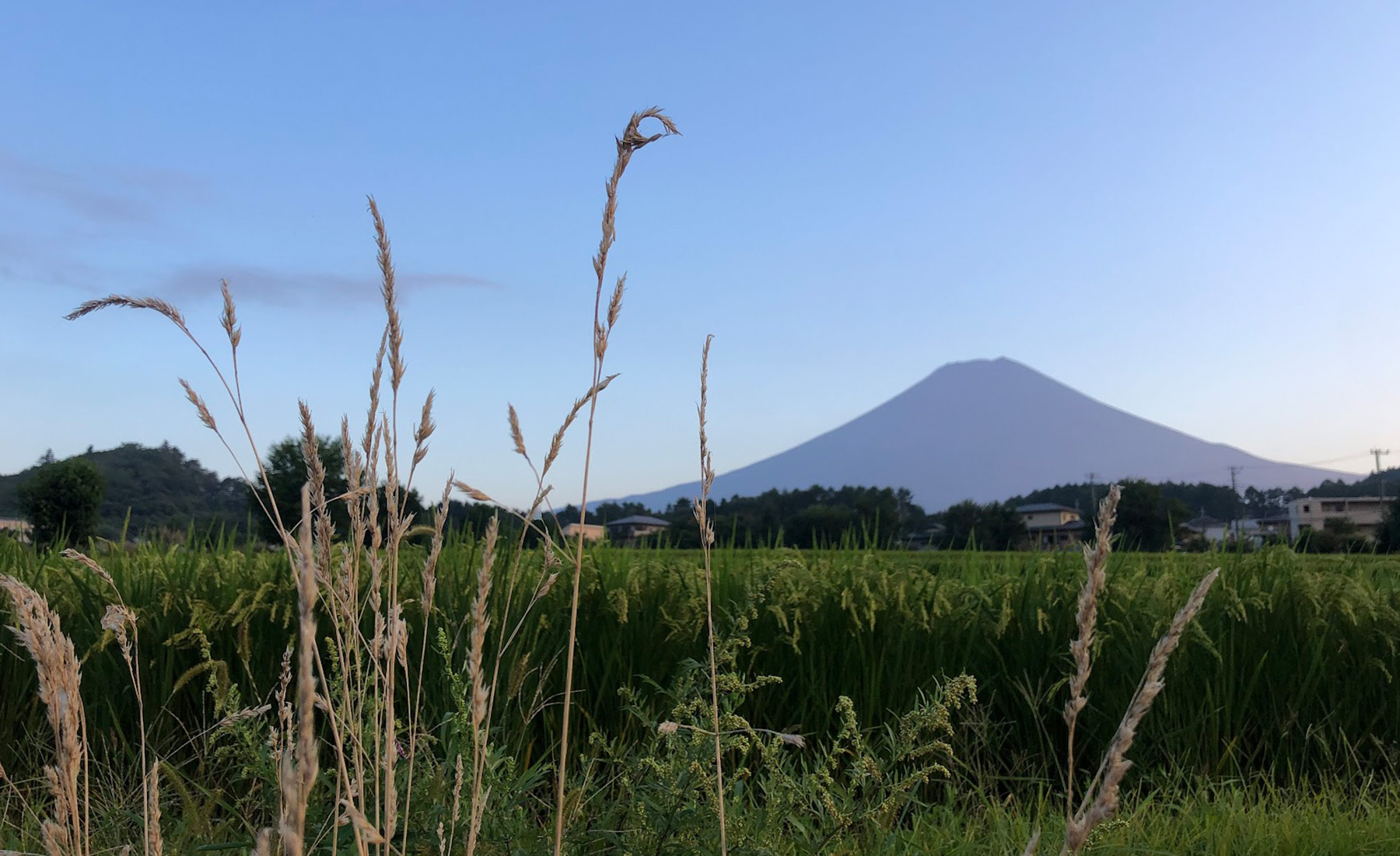 富士吉田市の自然豊かな風景