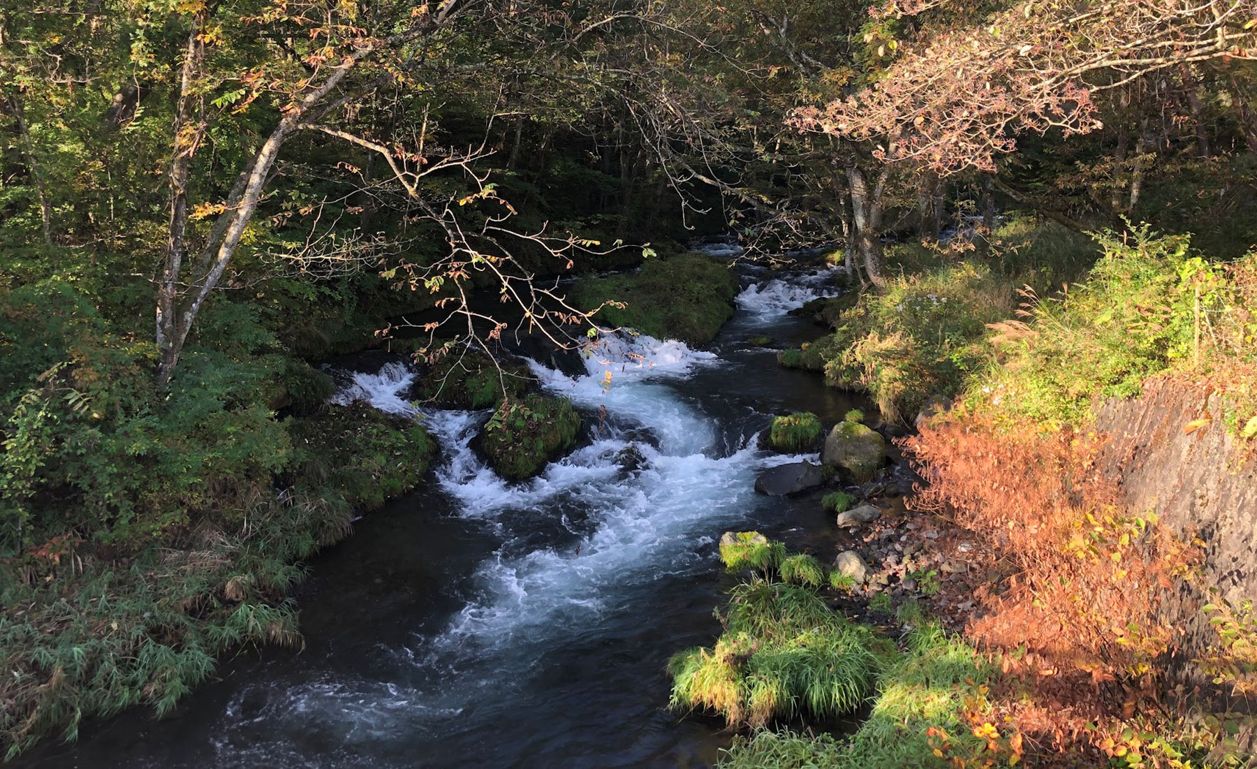 富士吉田市の綺麗な渓流