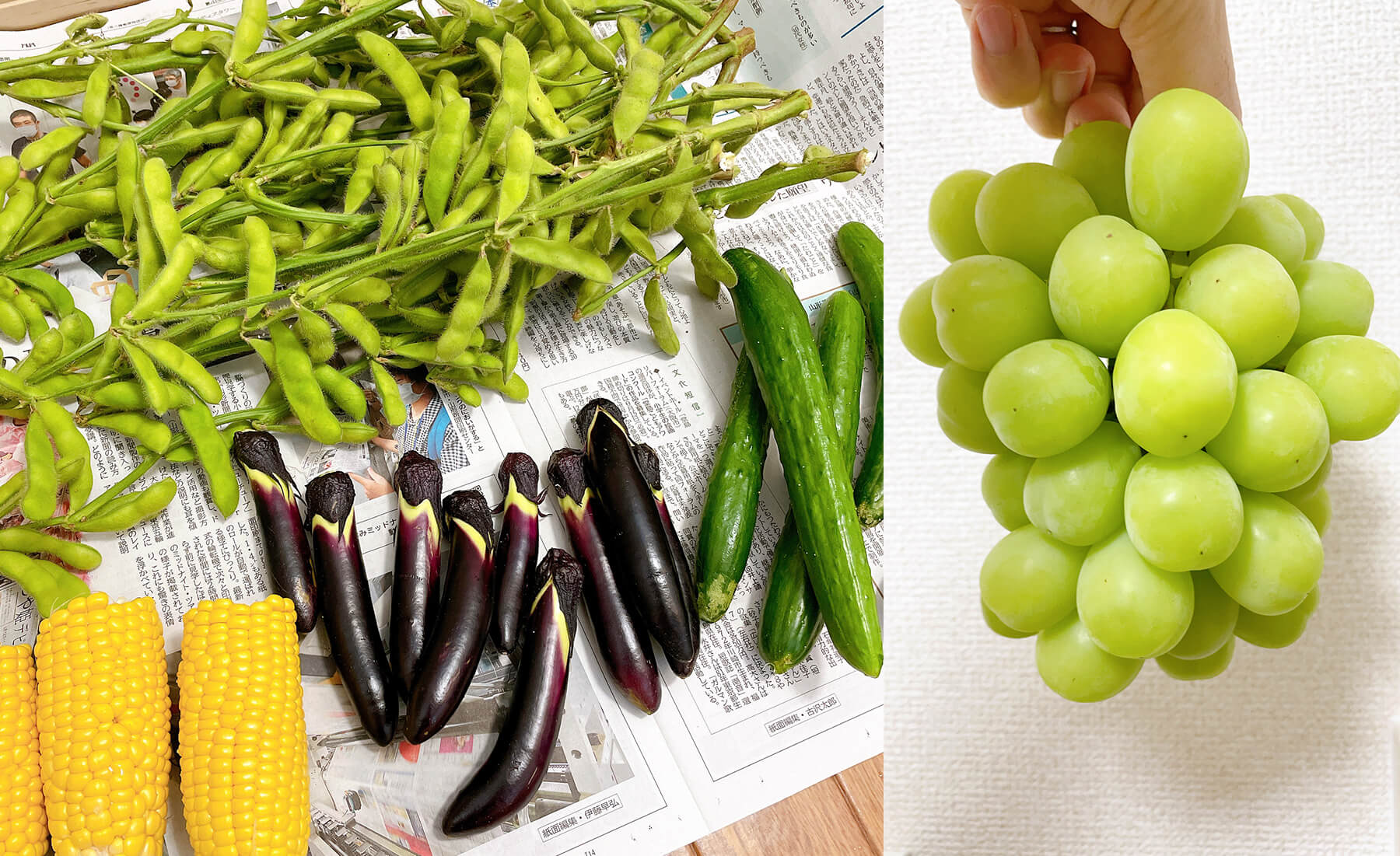 収穫した野菜や果物