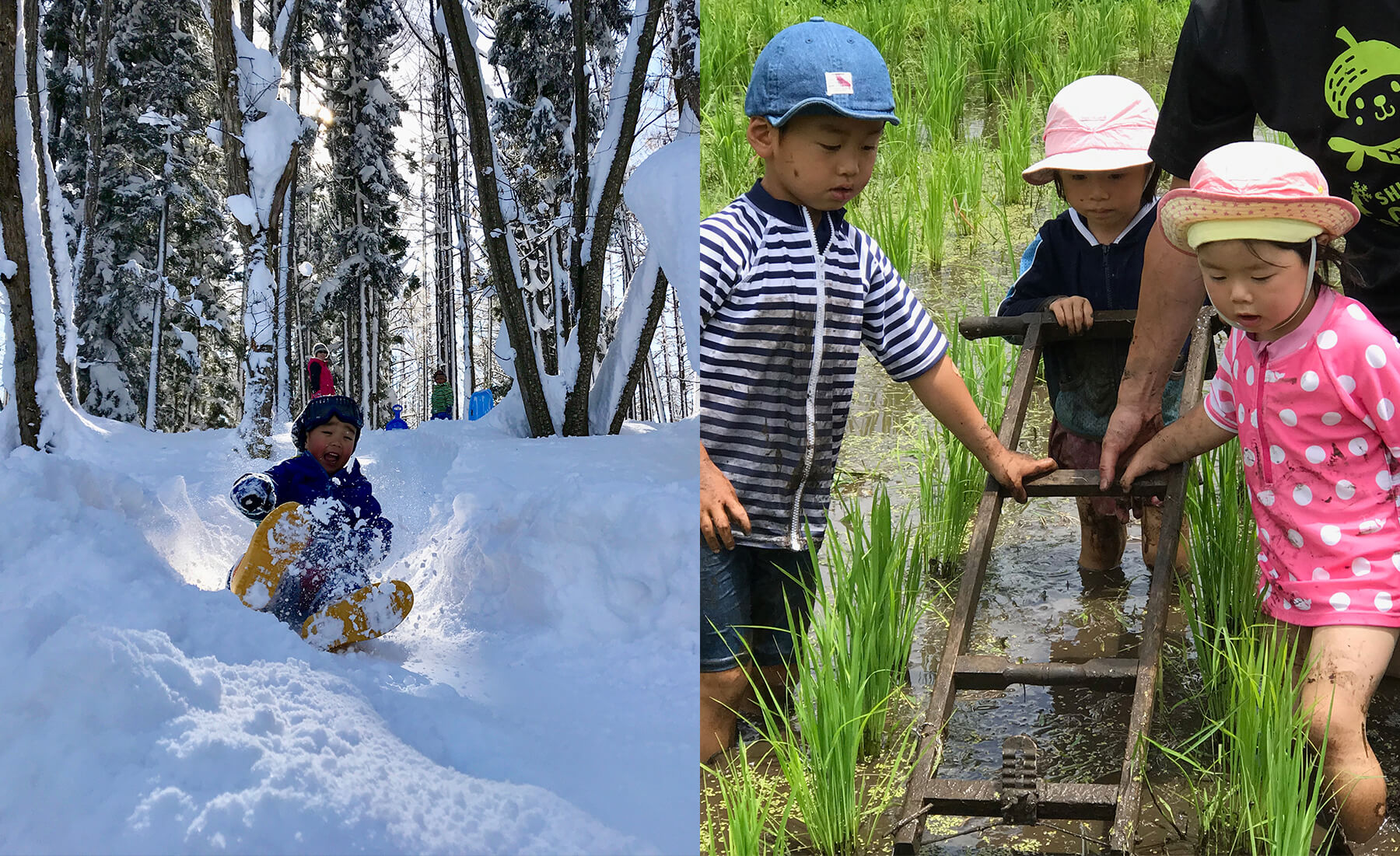 雪遊びや田植えを楽しむ子どもたち