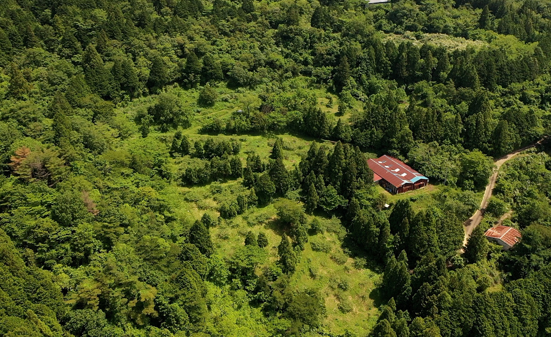 和歌山県海南市の緑豊かな景色