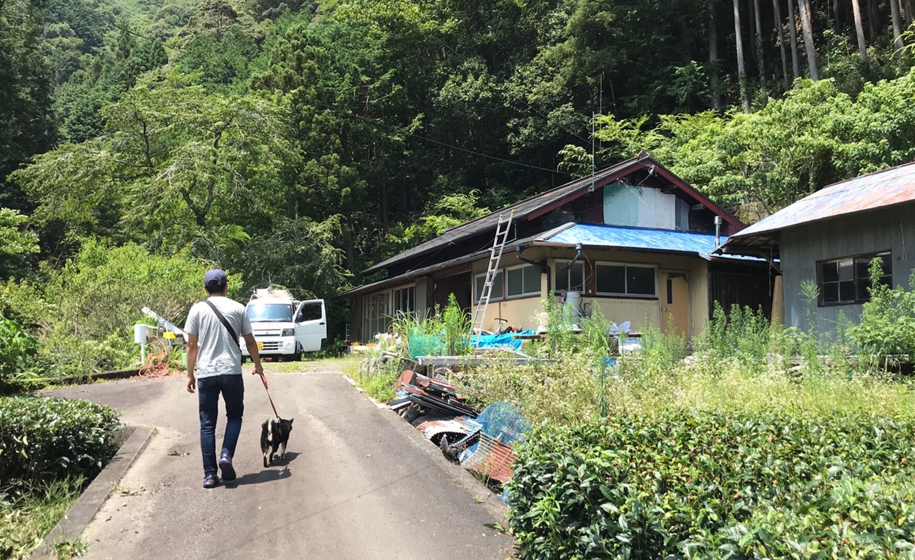 緑あふれる大河内地区