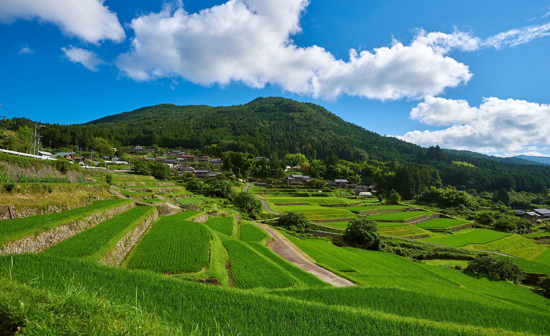 緑豊かな岐阜県恵那市の夏の風景