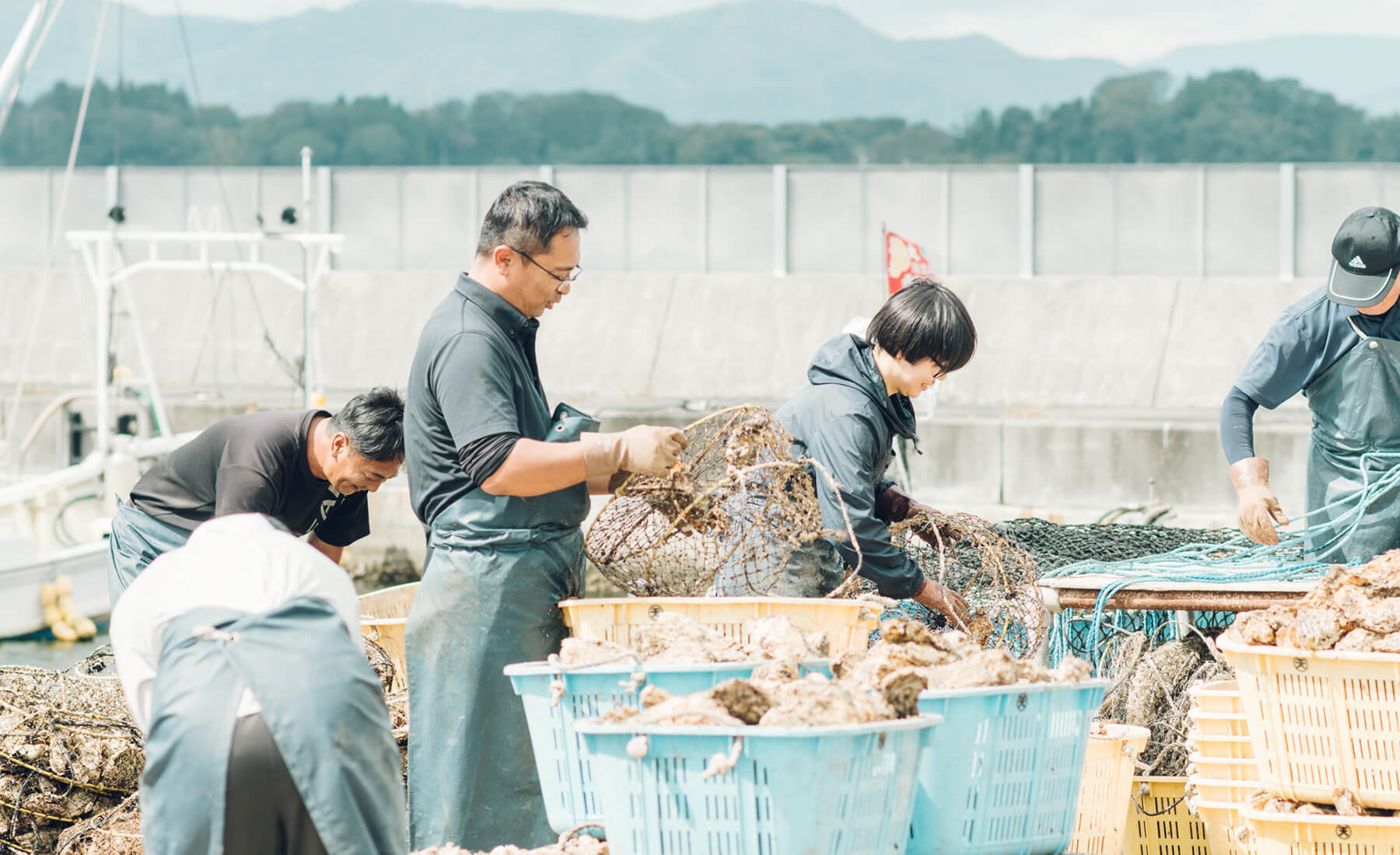 わかめを収穫する地元民