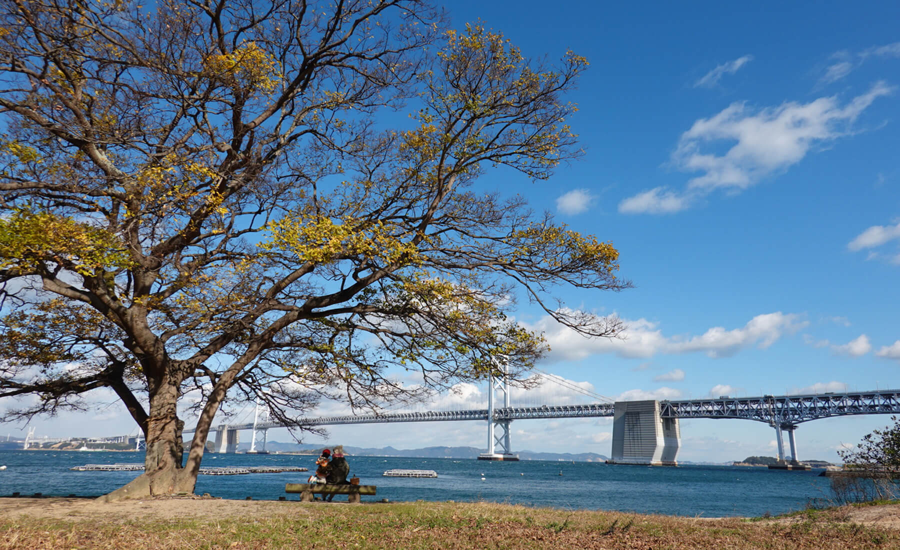 三好さんが家族でよく行く香川の海
