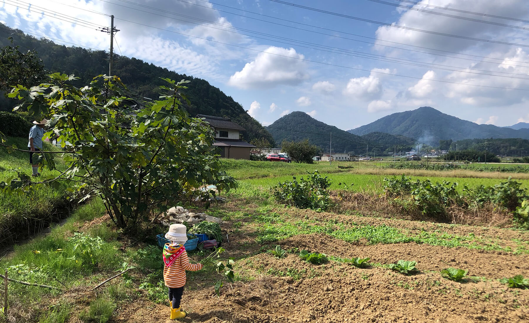 畑作業中