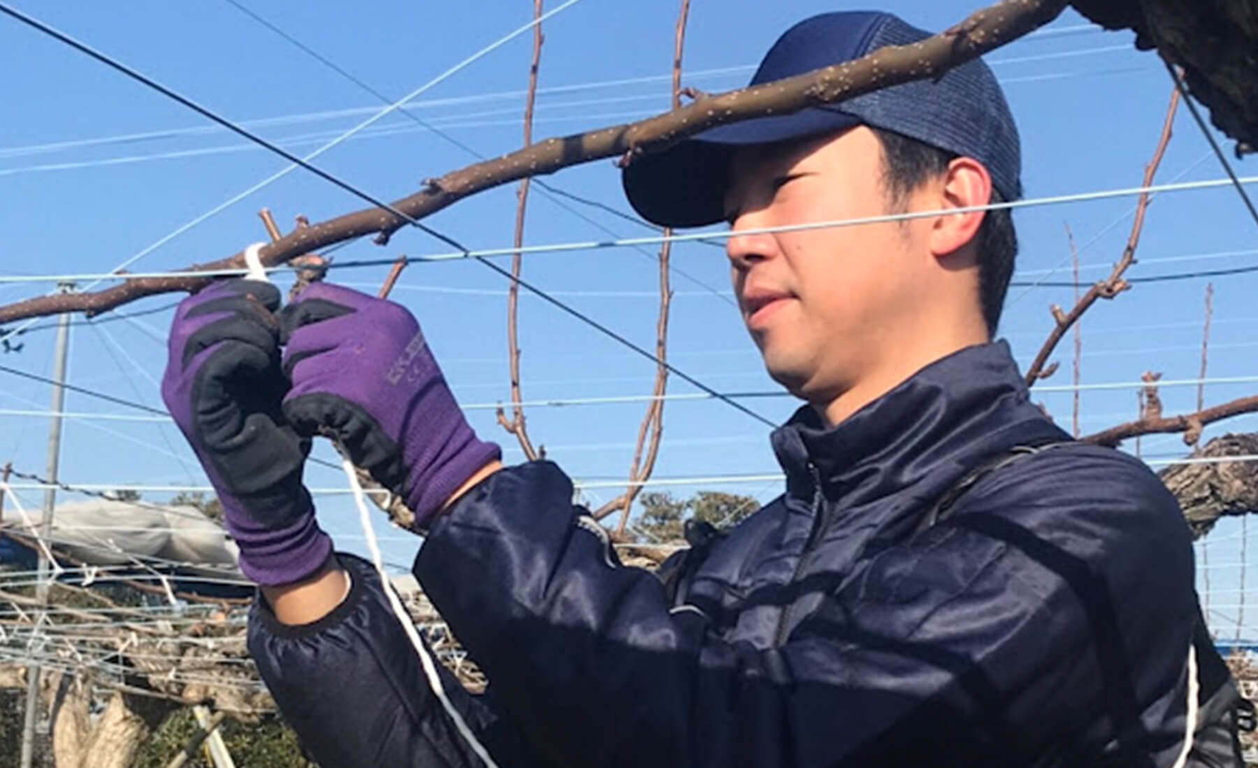 作業中の谷口さん