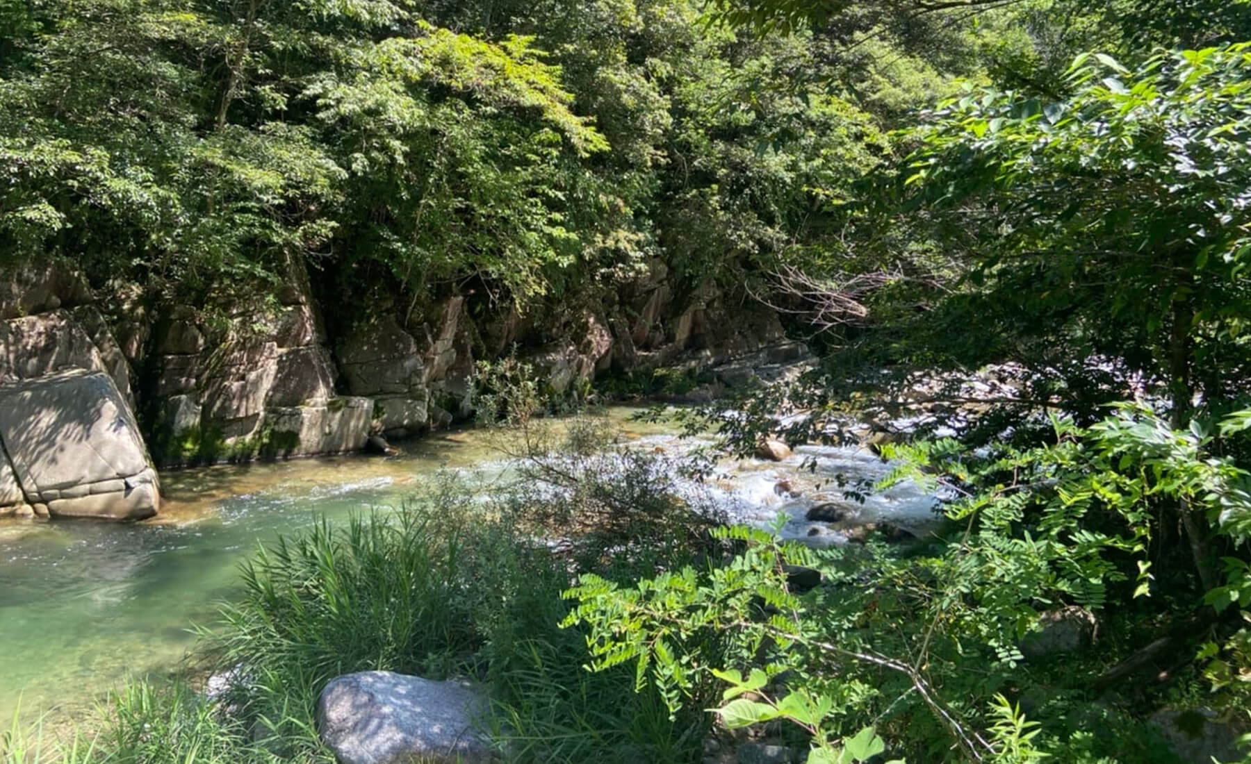 川の景色