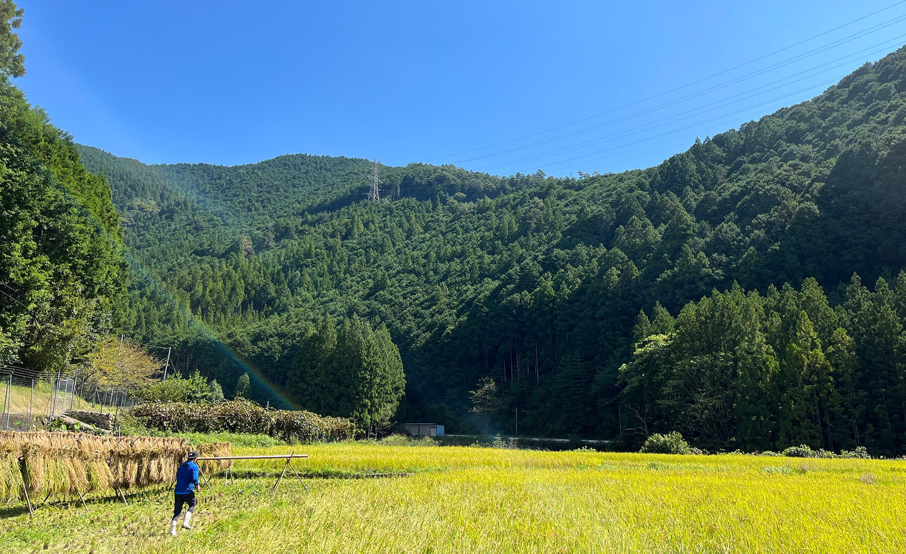 下北山村の自然豊かな風景