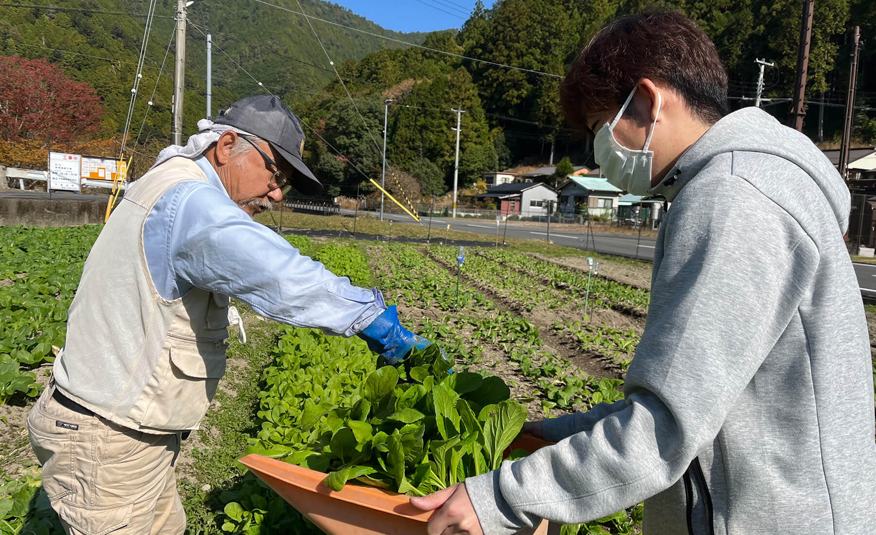 村の人々と畑作業をする様子