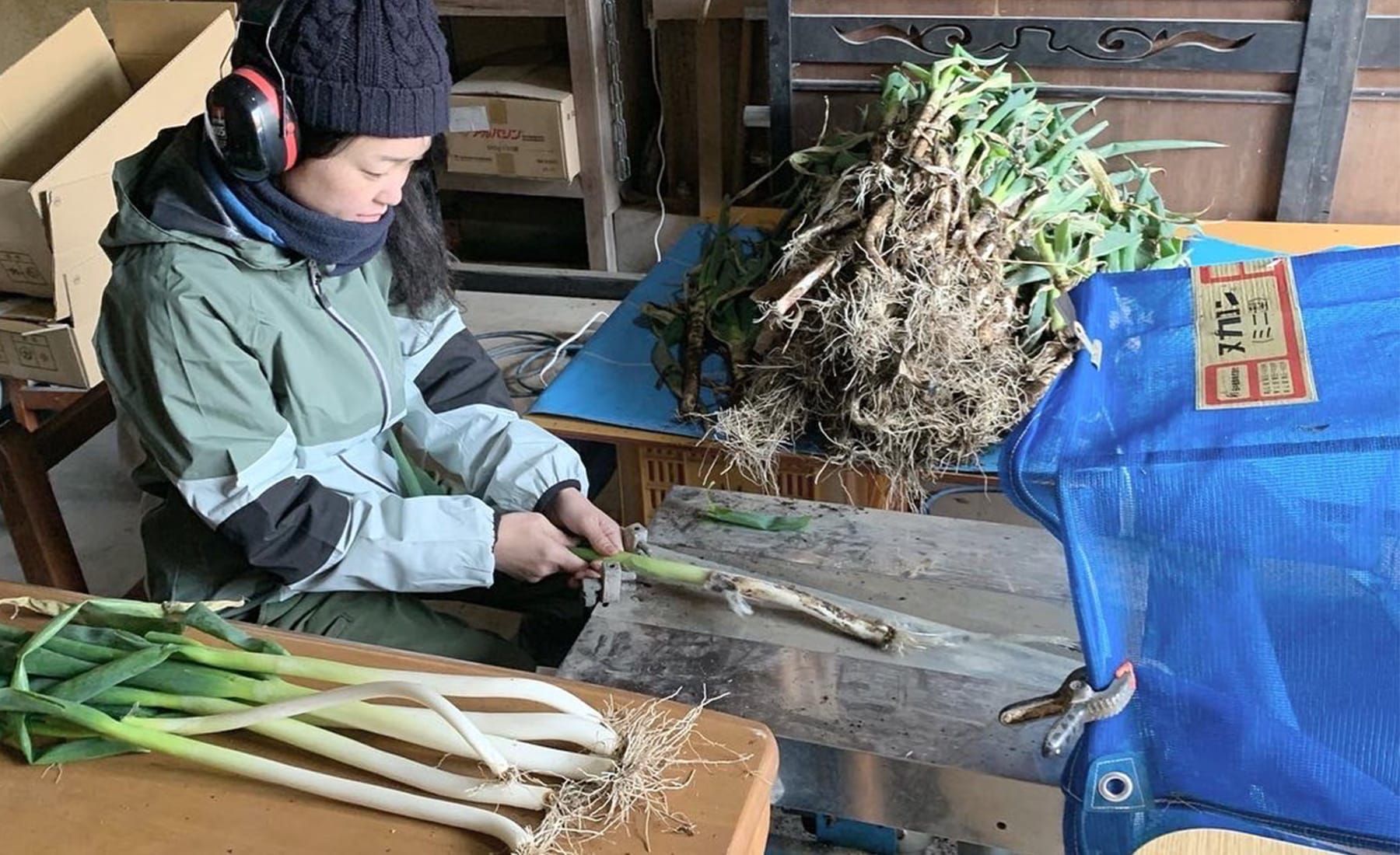 農作業中の今田さん