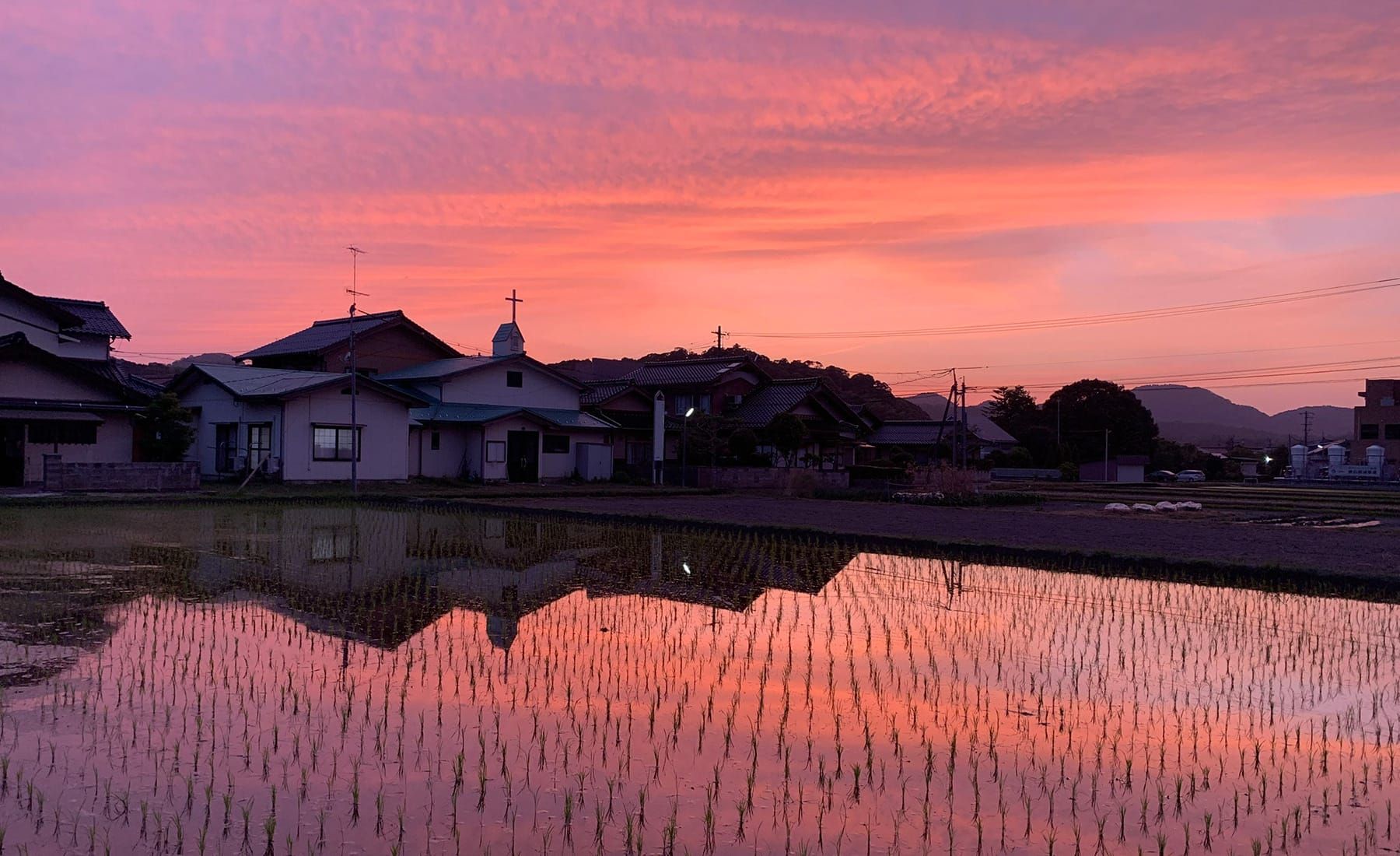 南米のウユニ塩湖のような鳥取県南部町の田んぼ