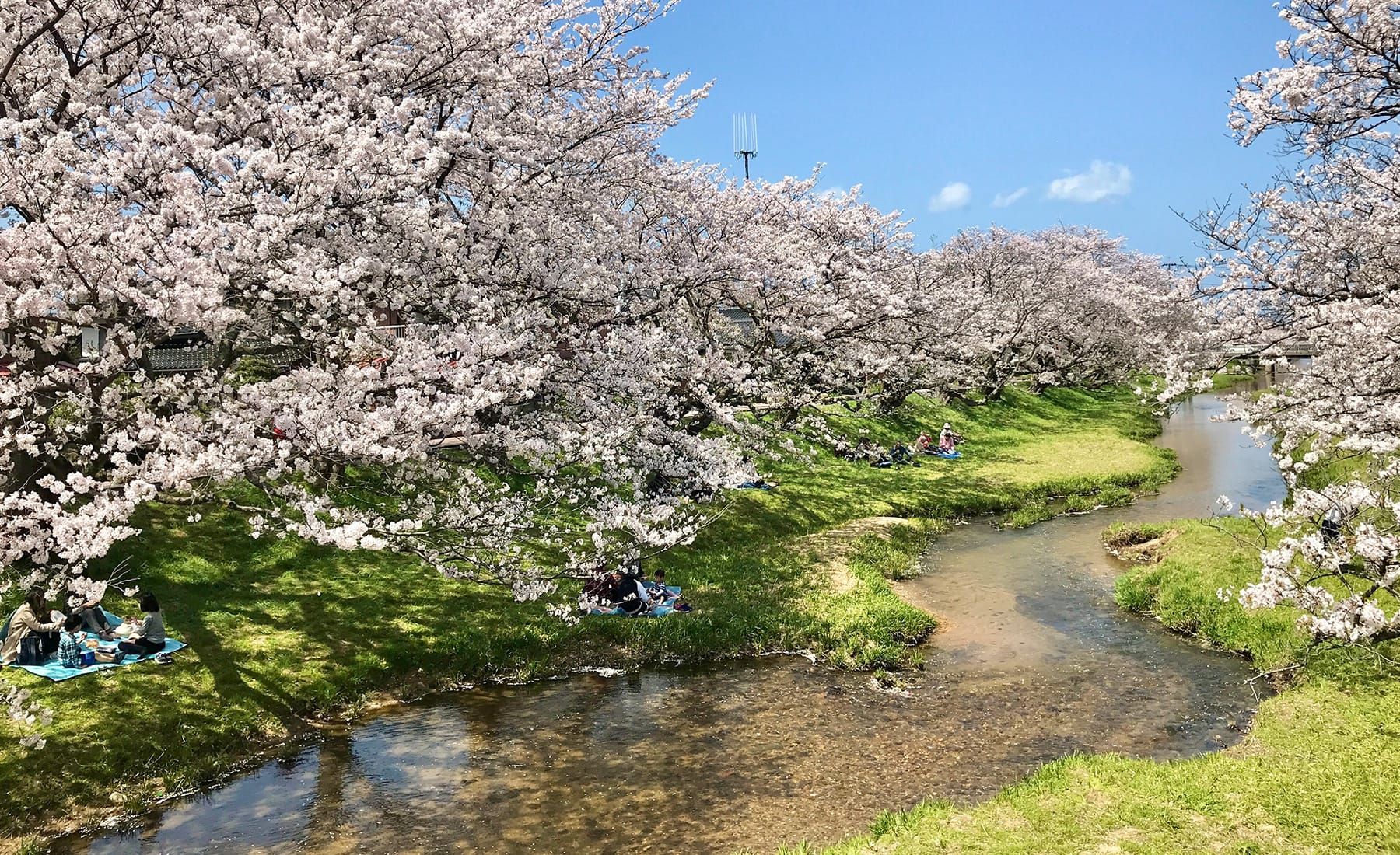 島根県松江市の風景