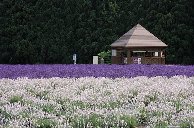 秋田県美郷町