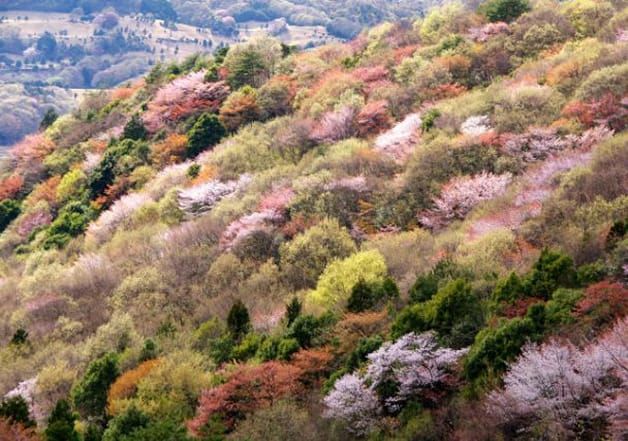 茨城県桜川市