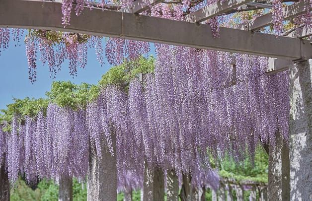 群馬県藤岡市