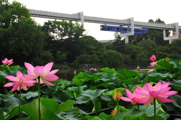 千葉県千葉市