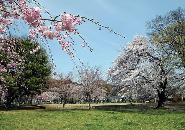 東京都国分寺市