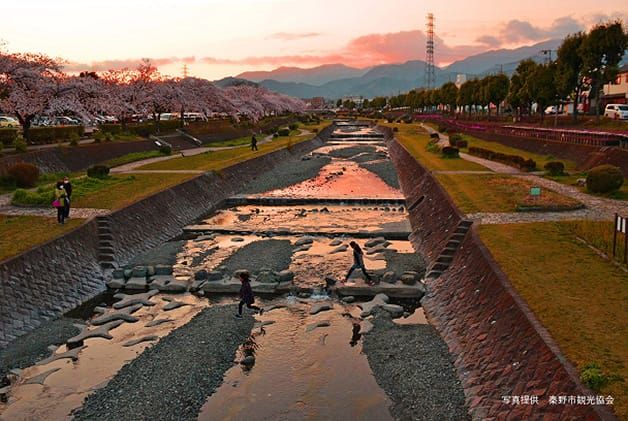 神奈川県秦野市