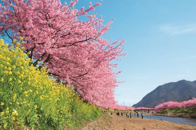 静岡県河津町