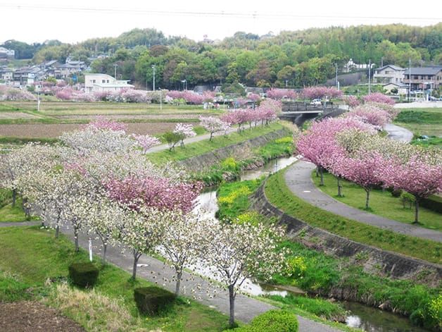 愛知県東浦町