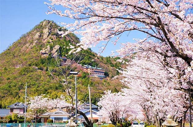 滋賀県東近江市