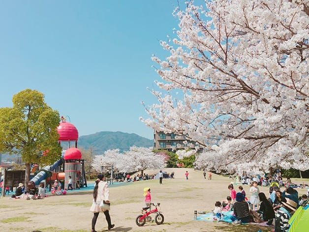 広島県廿日市市