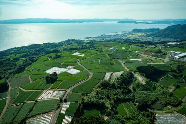 長崎県東彼杵町