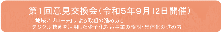 第１回意見交換会（令和５年９月12日開催）地域の実情に応じた少子化対策の推進に関する意見交換会