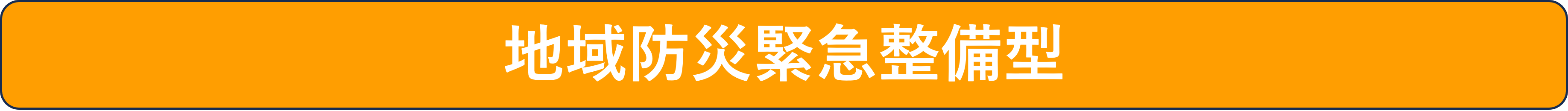 地域防災緊急整備型