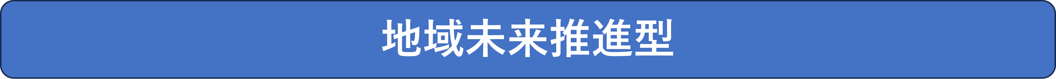 地域未来推進型