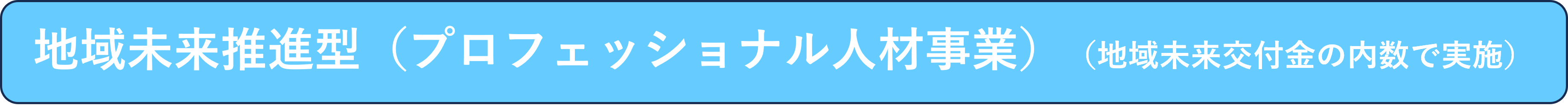 地域未来推進型（プロフェッショナル人材事業） （地域未来交付金の内数で実施）