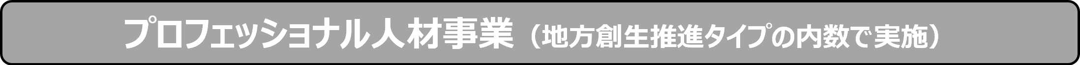 プロフェッショナル人材事業（地方創生推進タイプの内数で実施）