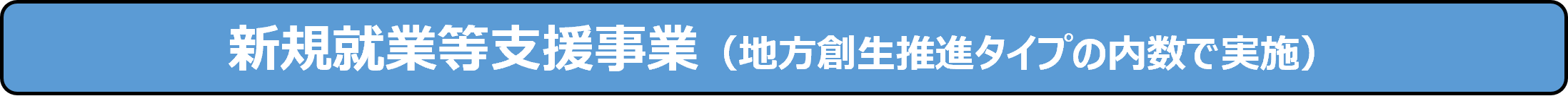 新規就業等支援事業（地方創生推進タイプの内数で実施）