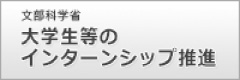 文部科学省 大学生等のインターンシップ推進