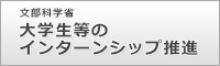 文部科学省 大学生等のインターンシップ推進