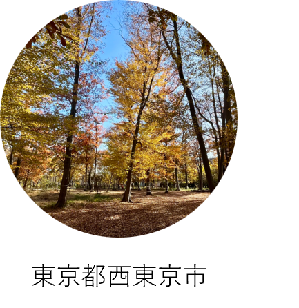 東京都西東京市