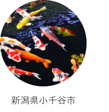 新潟県小千谷市