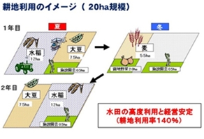 耕地利用率向上