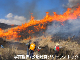 草原野焼き